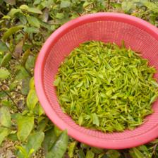 久和順茶葉加盟 開啟茶葉代理與銷售事業的新篇章